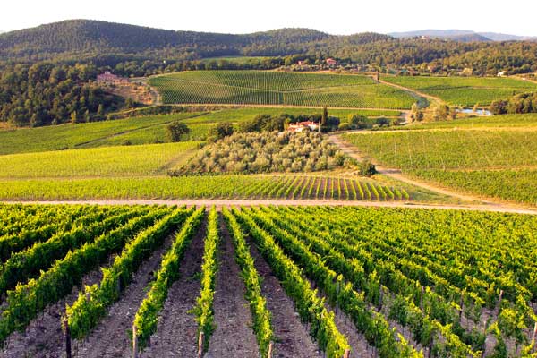 Il ristorante dei Frescobaldi apre a Londra