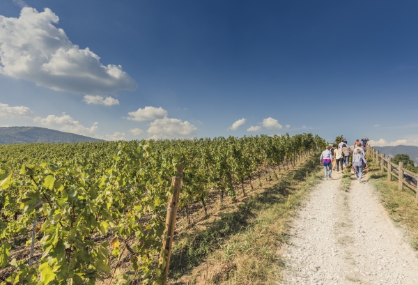 Zanella: “In Franciacorta vendiamo e non svendiamo”