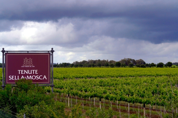Campari vuole 80 mln per Sella e Mosca