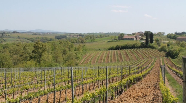 Feudi, bollicine di design