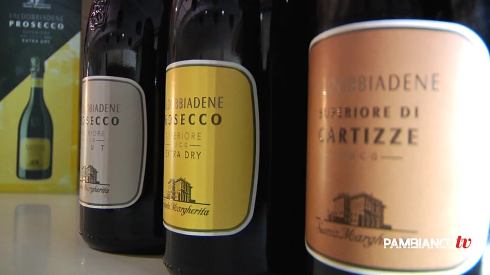 Il Vermentino nei piani di Santa Margherita
