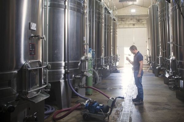 Vino, il colosso cinese Golden Field fa shopping a Bordeaux