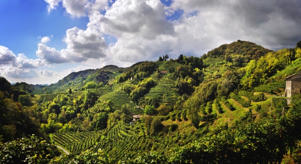 Valpolicella Negrar vola con l’Amarone