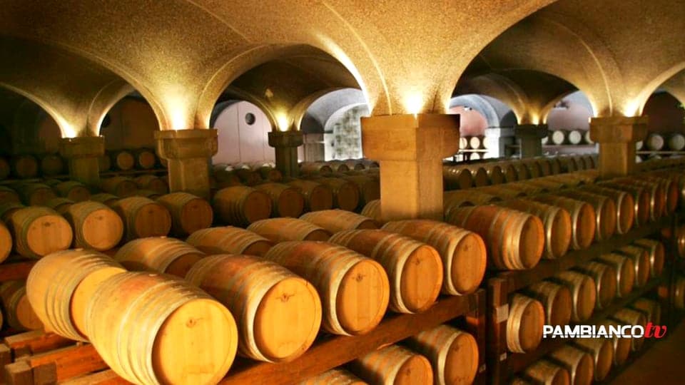 Argiolas trasforma gli scarti delle vigne in elementi di design