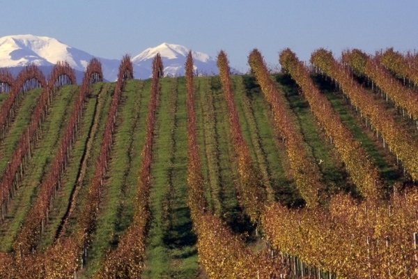 Tommasi prepara la Fondazione De Buris