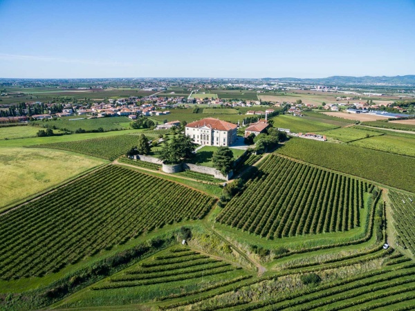 Vitevis incorpora Castelnuovo e punta oltre 50 milioni