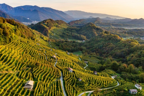 L’Unesco promuove le colline del Prosecco