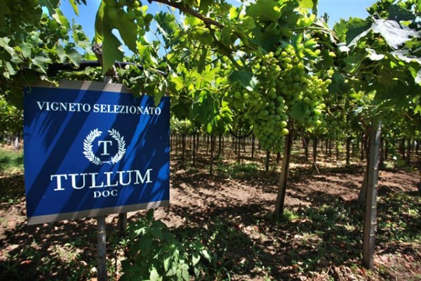 La promozione di Tullum da dop a docg