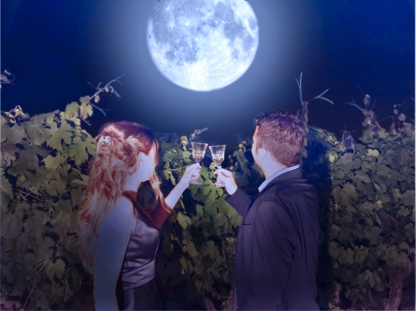 Vino e stelle fino alla notte di San Lorenzo