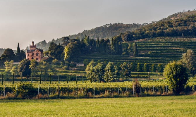 Dal Veneto alla Franciacorta, Paladin alla sfida dell’Erbamat