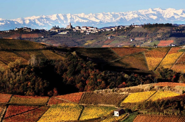 Piemonte, l’export di vino vale 1 miliardo