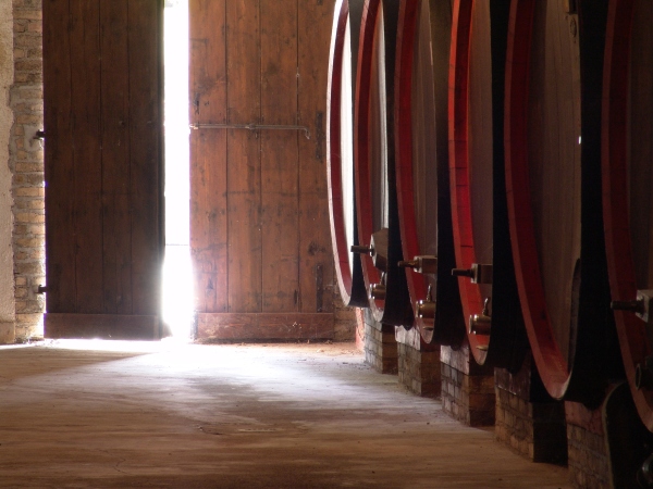Cantine Aperte ritorna per la festa di San Martino