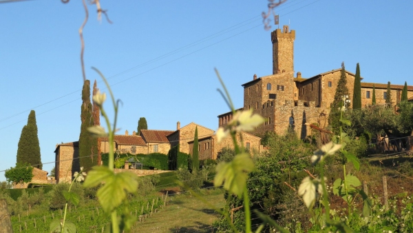 Il Golosario lancia la guida online al delivery