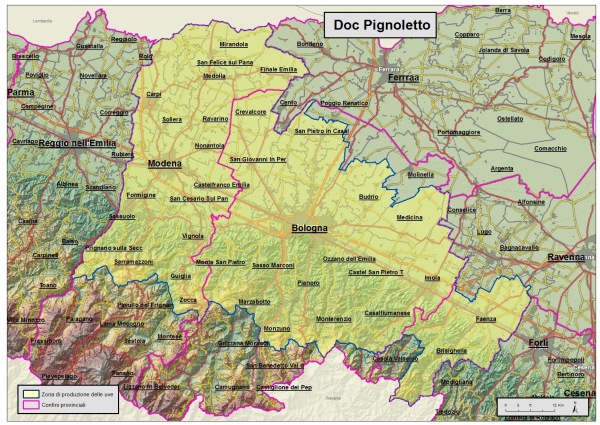 Pignoletto in crescita, al via la doc “Emilia Romagna”