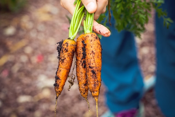 Bio, è boom di consumi. Triplicheranno in 5 anni