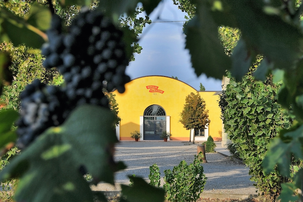 Monari Federzoni corre in Cina, vendite a +80%