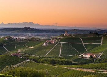Barolo-Barbaresco e Roero escono dal maxi-consorzio