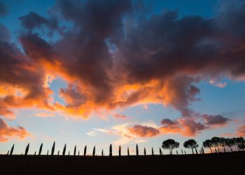 Brunello di Montalcino da record nel 2021. Valori come nel 2010