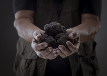 Appennino Food Group vola verso i 20 mln € con il tartufo