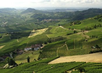 Tra dolci e vino, il Piemonte traina l’export dell’agro-alimentare