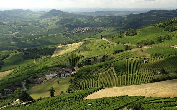 Tra dolci e vino, il Piemonte traina l’export dell’agro-alimentare