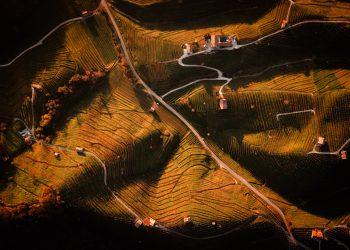 Anno “a sorpresa” per Bortolomiol. Che punta sul green