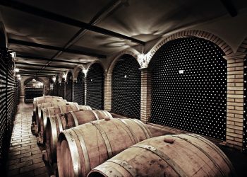 Prosit oltre il raddoppio. Verso gli 89 mln € nel 2022