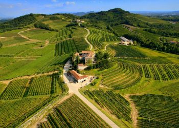 Xtrawine fa squadra con Parodi per l’enoturismo