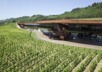 Antinori, allo studio nuova ospitalità a Bolgheri