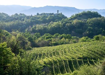 Asolo Prosecco a +85,8% sul 2019 nei primi 4 mesi del 2022