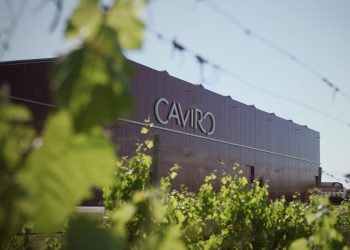 Il futuro di Caviro è sempre più sostenibile