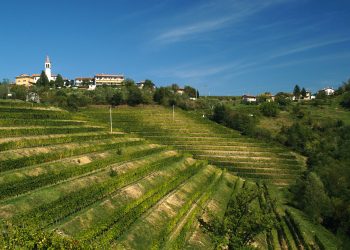 Il Collio verso altri orizzonti