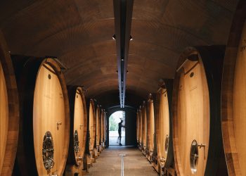 Nuova cantina per Elena Walch a Castel Ringberg