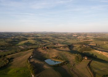 Dal Brunello al Rosso, il consorzio lavora sul posizionamento
