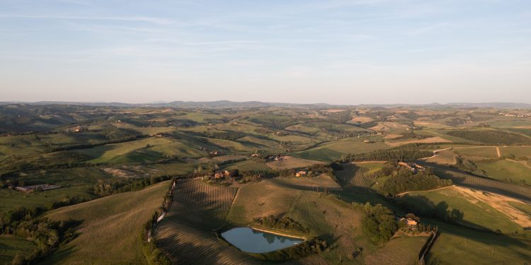 Dal Brunello al Rosso, il consorzio lavora sul posizionamento