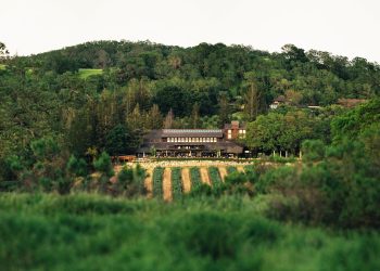 Moët Hennessy acquisisce Joseph Phelps Vineyards
