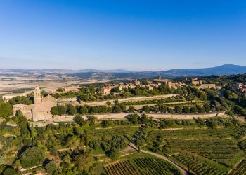 Consorzio Brunello: “Con meno produzione, lavorare sul prezzo”
