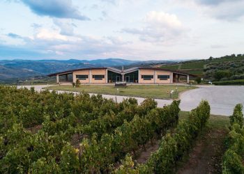 Con vino e ospitalità, Paternoster mette la Basilicata al centro