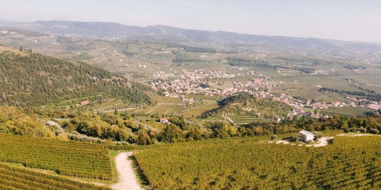 Il primo Amarone su La Place di Bordeaux è firmato Allegrini