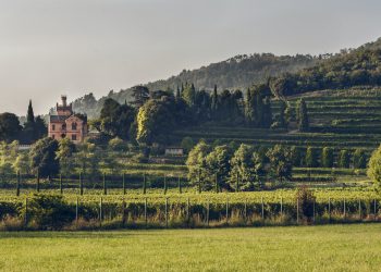 Fatturato Record per Castello Bonomi