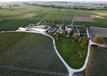 Da Bollinger a Lvmh, nuove acquisizioni per il vino francese