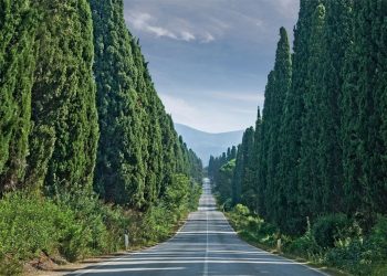 Bolgheri DiVino torna con la seconda edizione