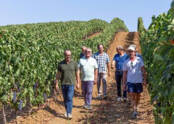 Cantina di Scansano lancia il progetto Poderi di Toscana