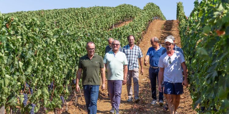 Cantina di Scansano lancia il progetto Poderi di Toscana