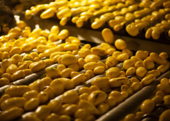 Italian Food Excellence, nuovo gruppo della pasta fresca da 100 mln