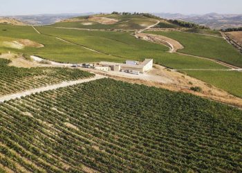 Planeta inaugura nuova cantina per i rossi d’alta gamma
