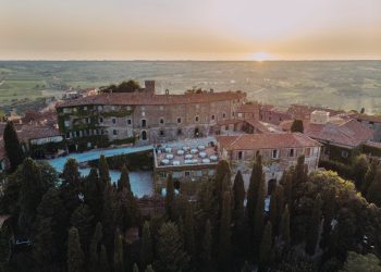 Bolgheri in crescita. +4% a valore nel secondo trimestre
