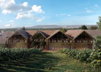 Bollinger si apre all’enoturismo: in arrivo hotel da 20 camere e cantina ‘a vista’