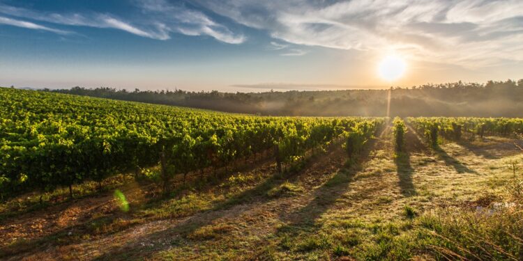 Dal prossimo weekend torna il Festival Franciacorta