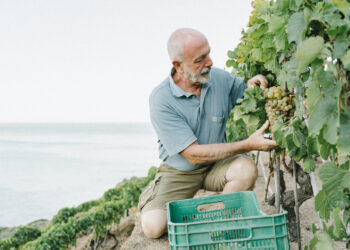 Dal Chianti Classico al Giglio: il francese Austruy punta sulla Toscana